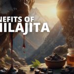 Shilajit Benefits