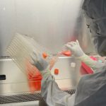 Gene Therapy Renaissance