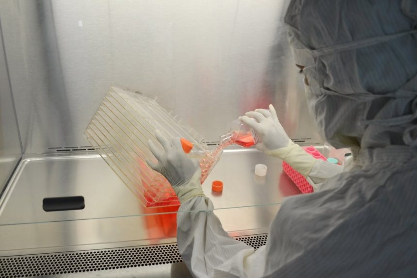 Gene Therapy Renaissance